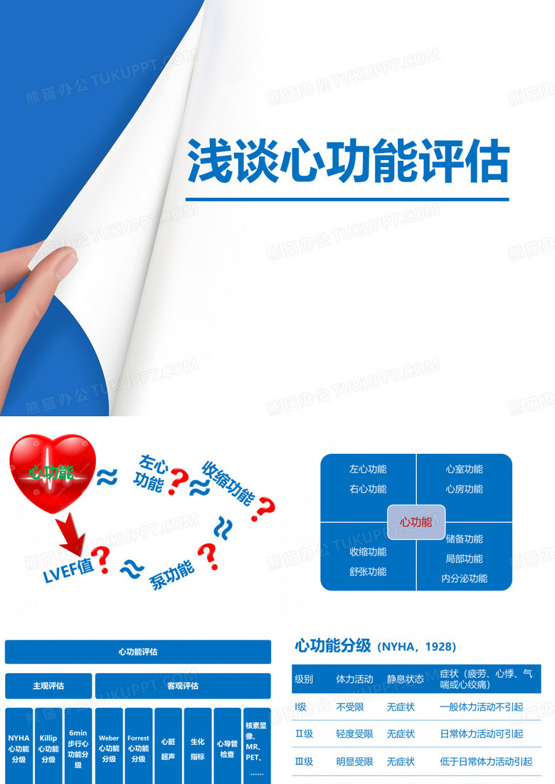 心功能评估