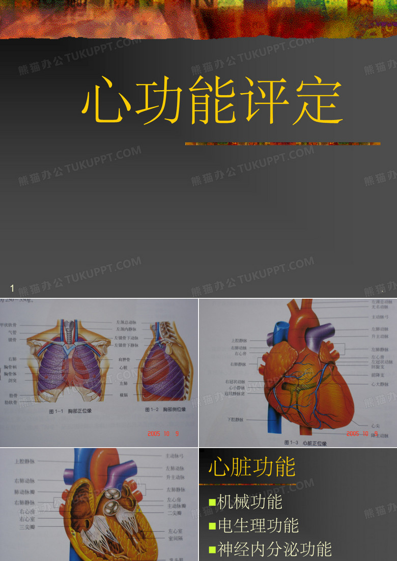 心功能评定