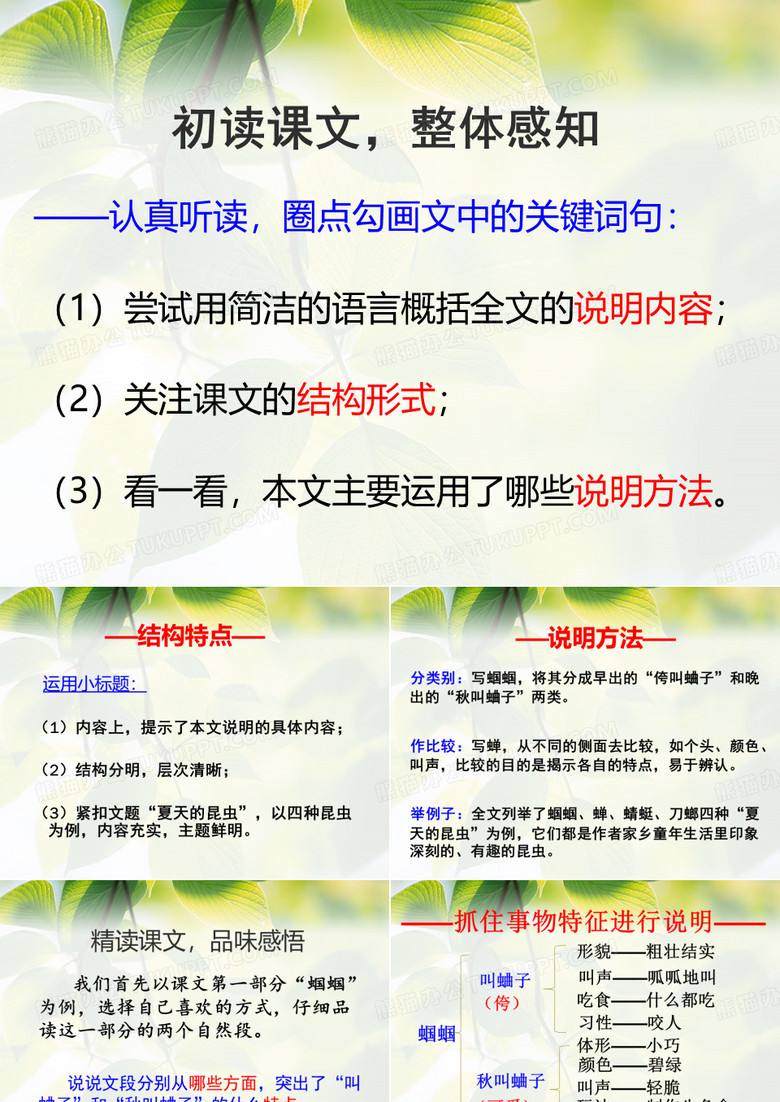 夏天的昆虫