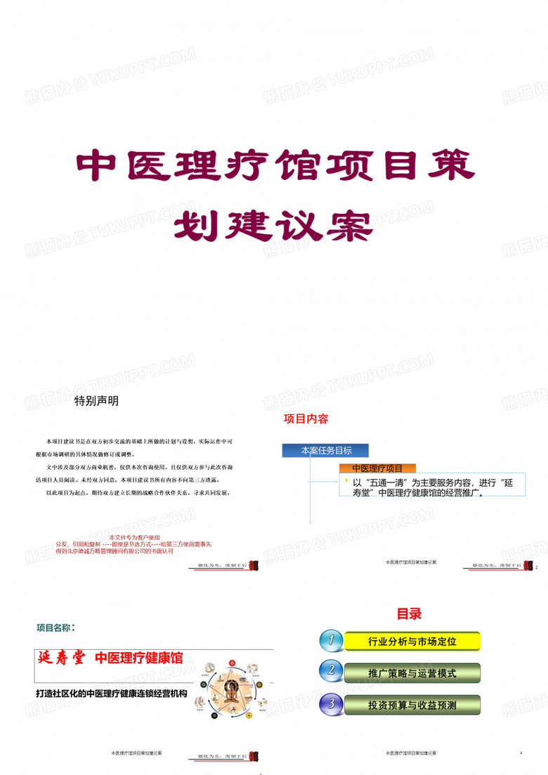 中医理疗馆项目策划建议案培训课件