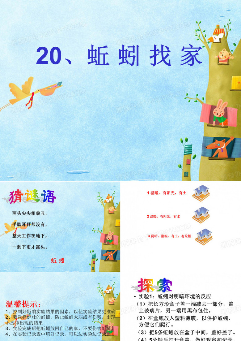 青岛版小学科学《蚯蚓找家》