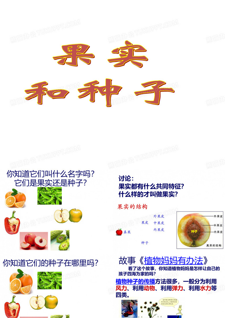 三年级下科学课件-果实和种子2_苏教版