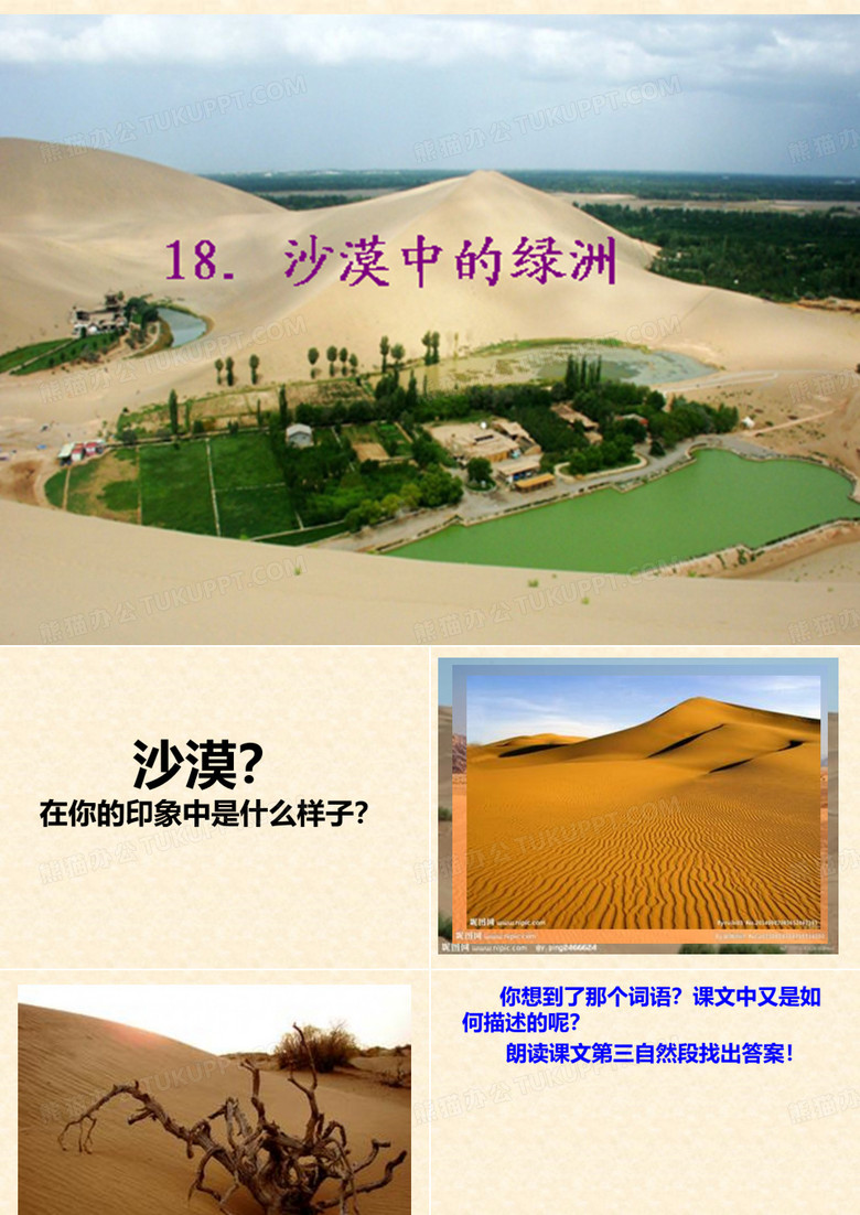 沙漠中的绿洲