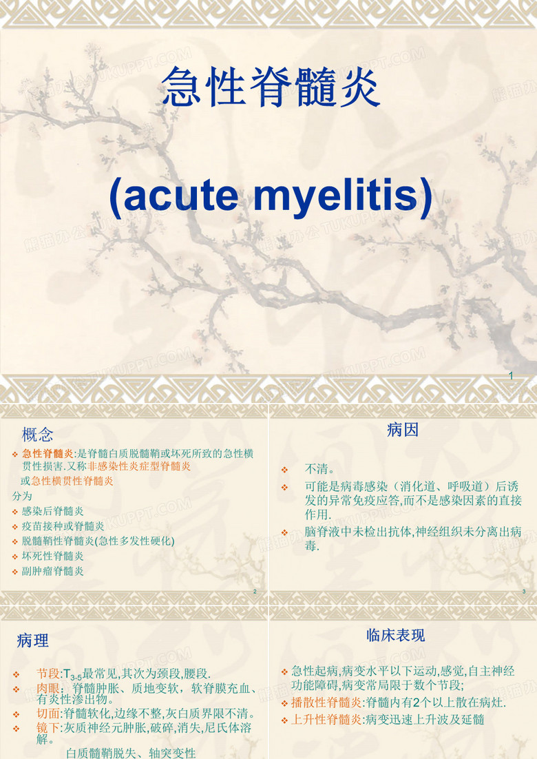 急性脊髓炎