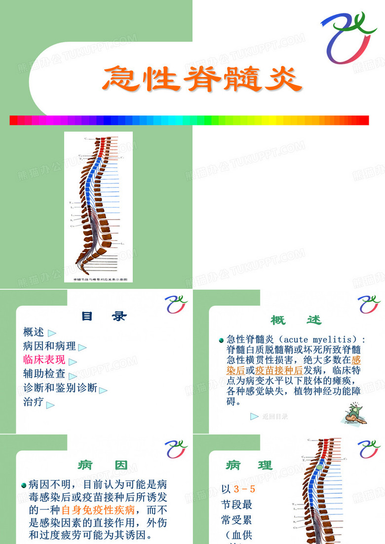 脊髓炎课件