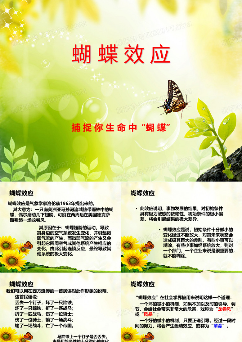 蝴蝶效应
