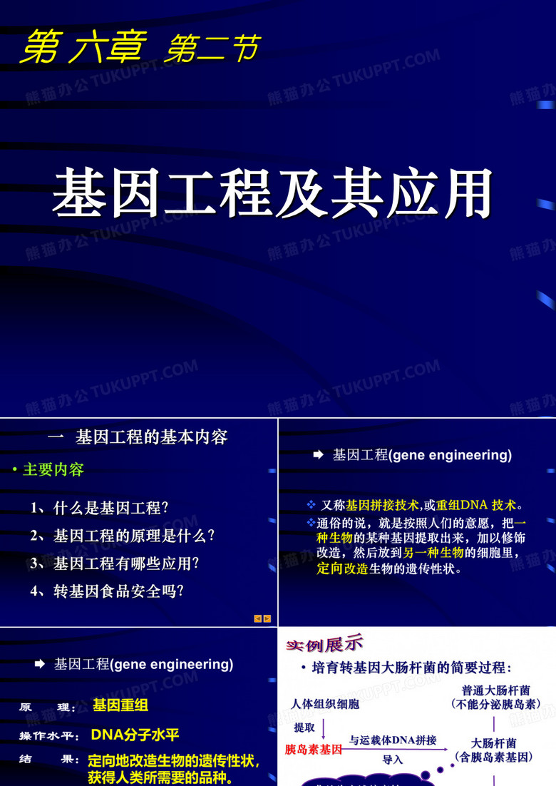 基因工程及其应用