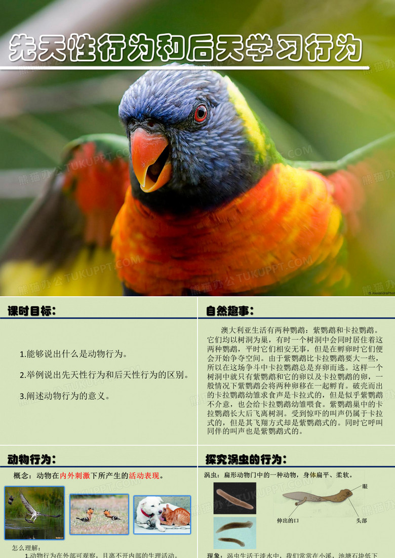 先天性行为和后天学习行为