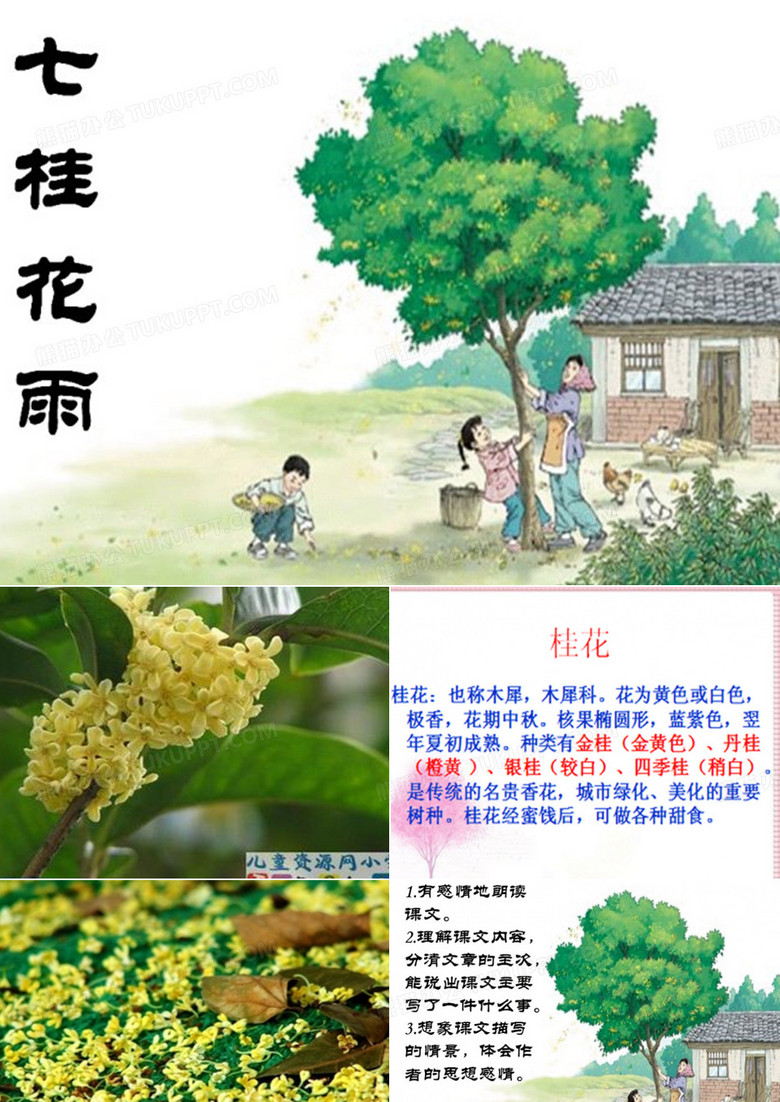 人教版五年级语文上册槐花魂