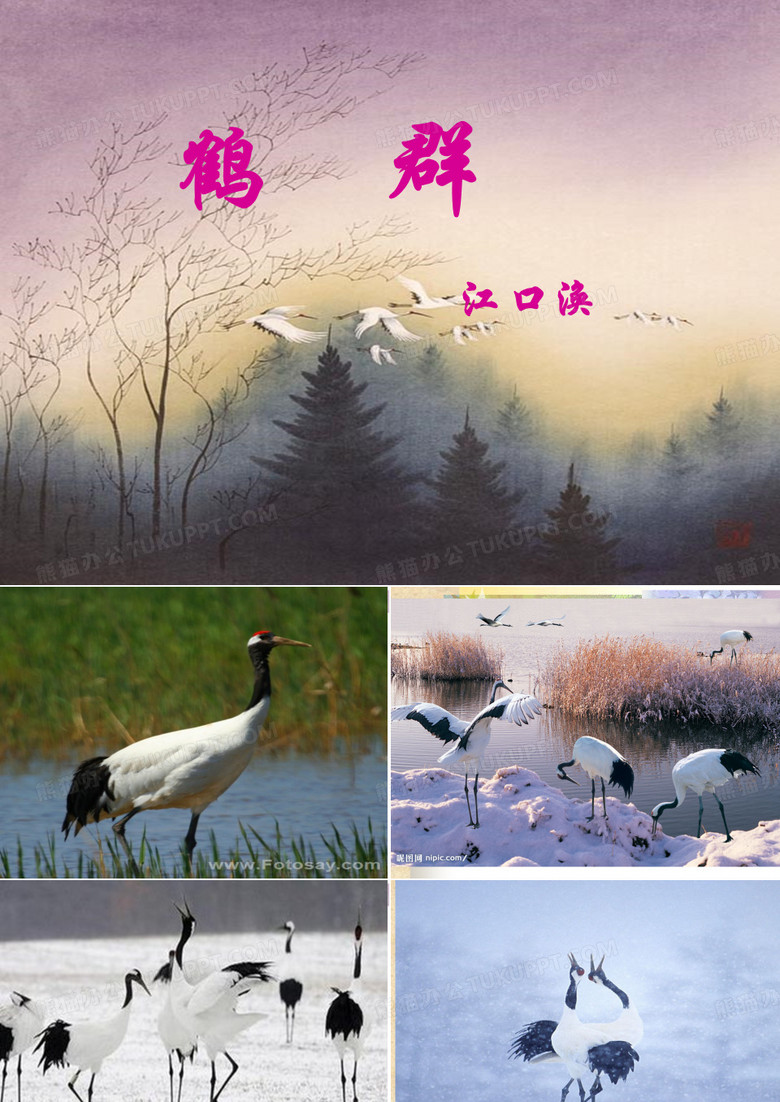 《鹤群》教好用学课件
