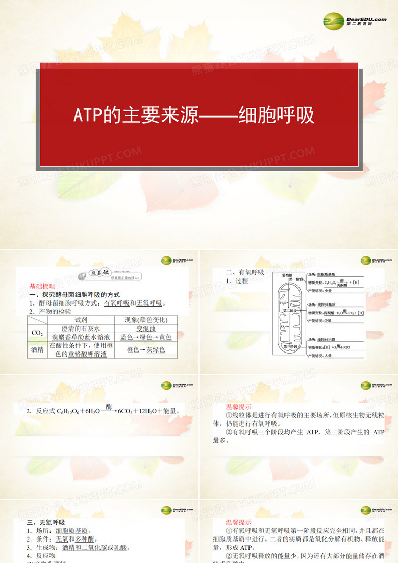 ATP的主要来源 细胞呼吸