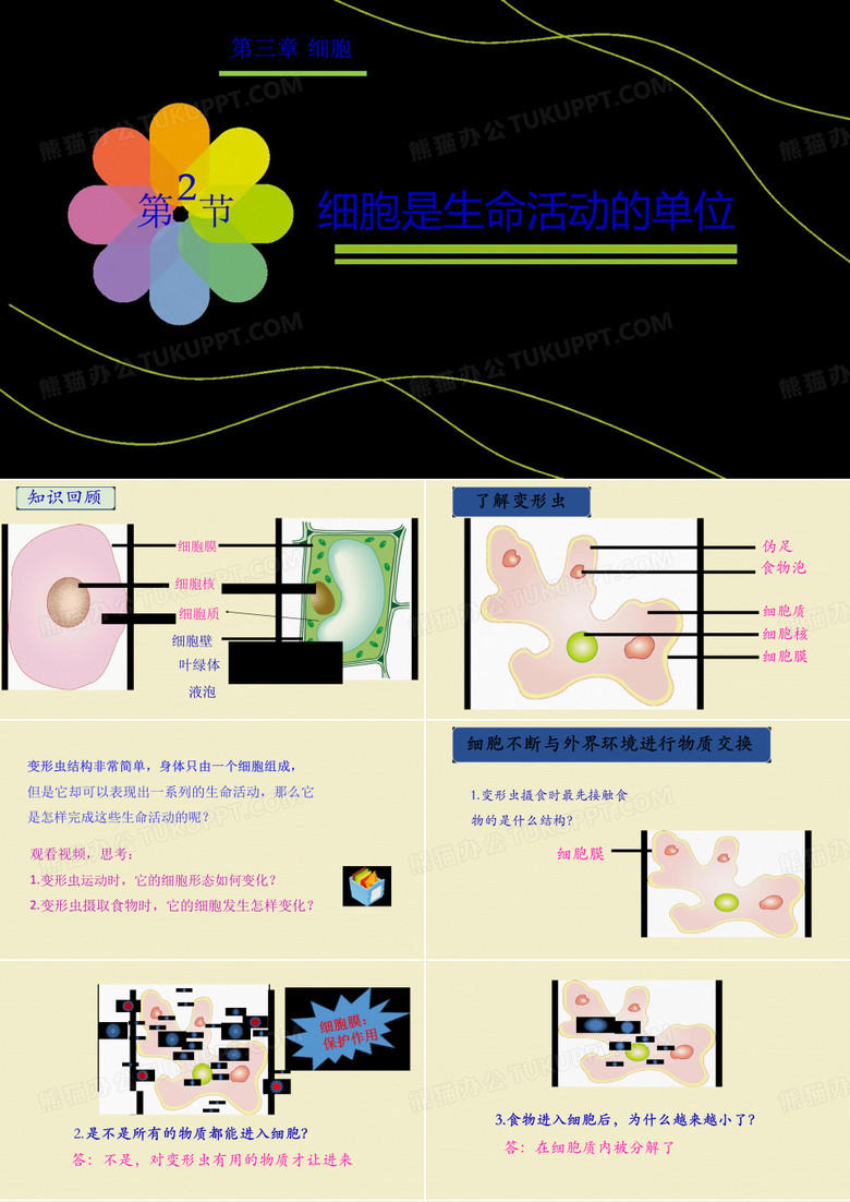 细胞是生命活动的基本单位