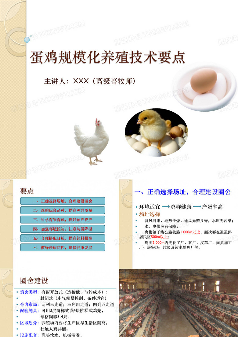 蛋鸡养殖技术