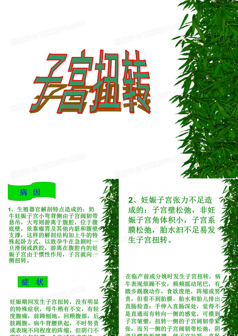 子宫扭转