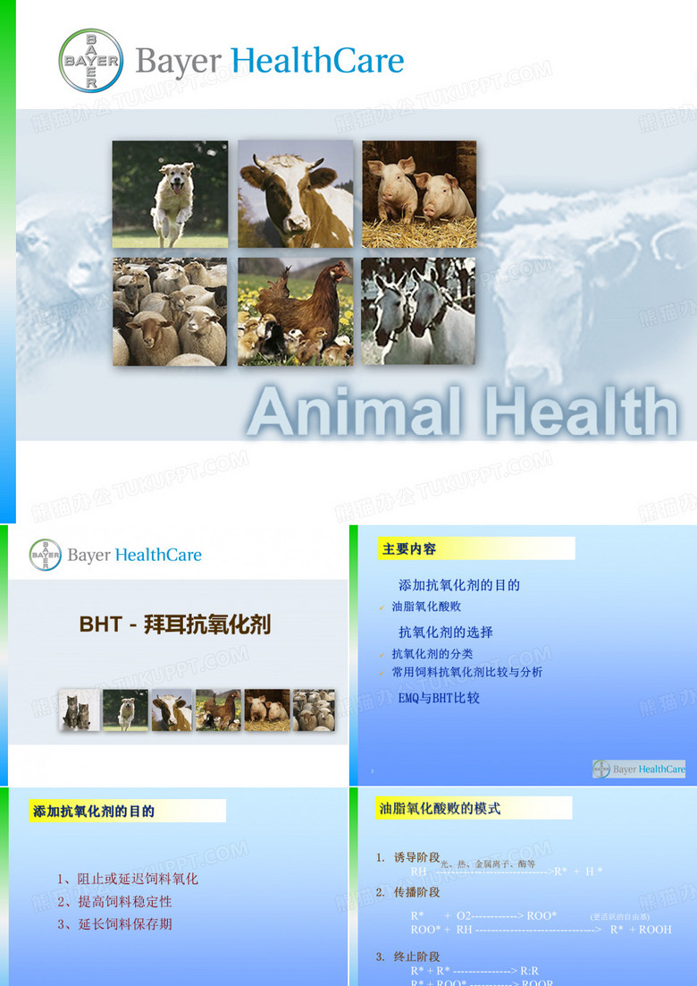 拜耳BHT