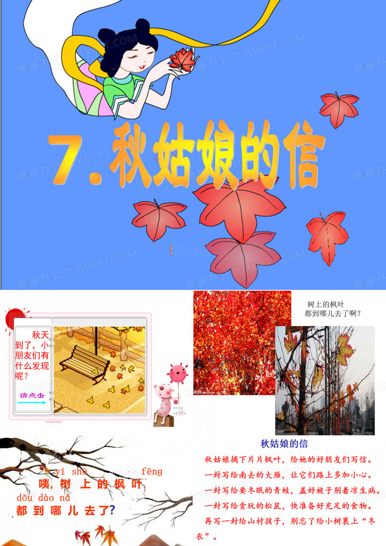 秋姑娘课件1