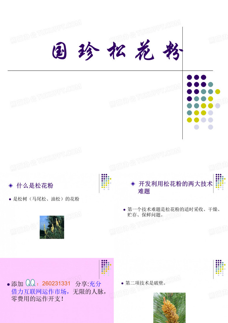 国珍松花粉