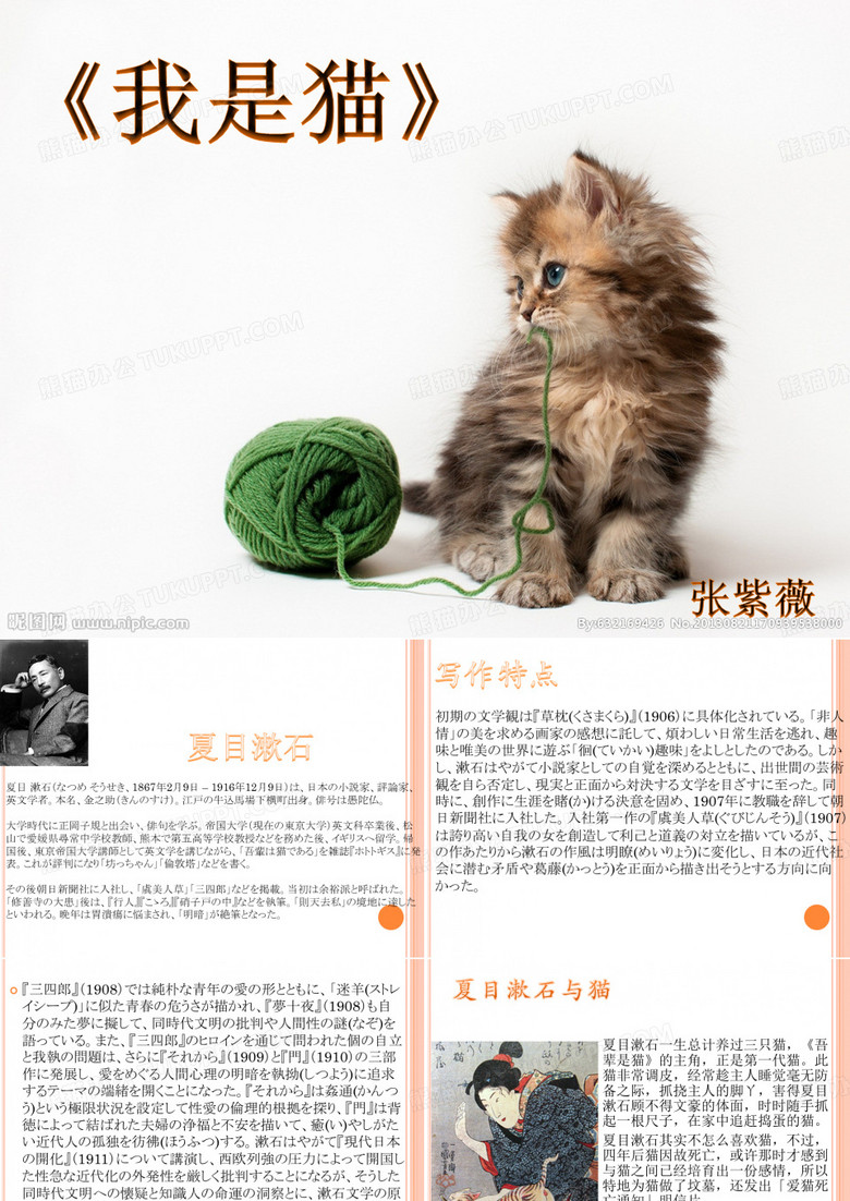 我是猫