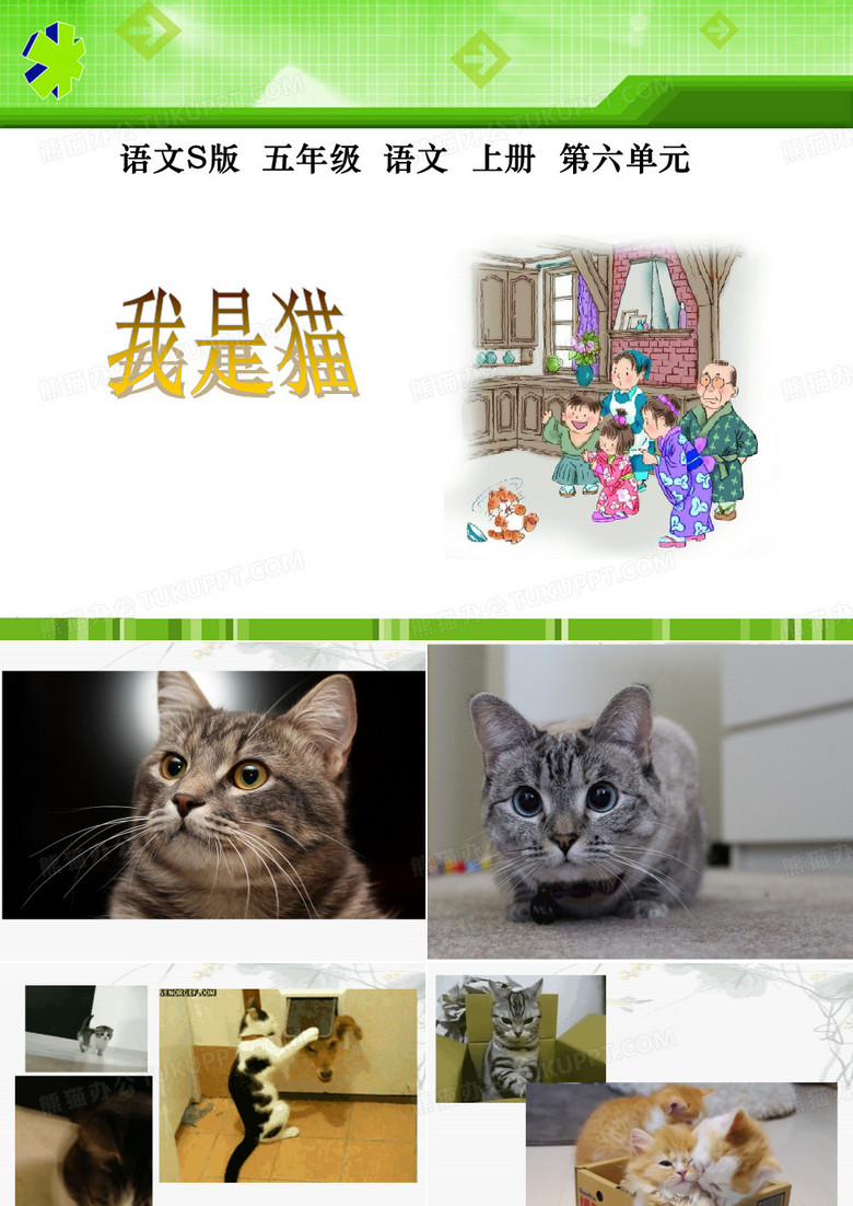 27我是猫