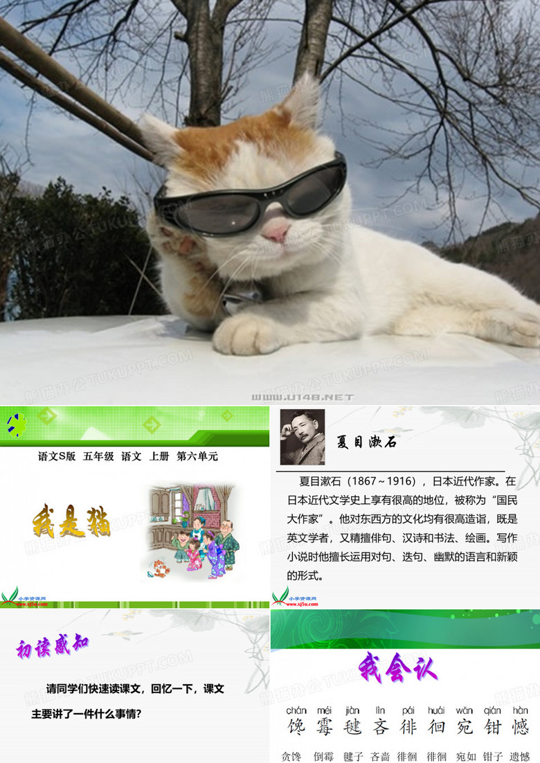 27我是猫