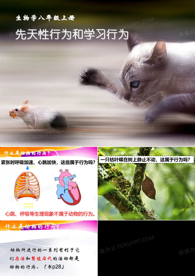 先天性行为和学习行为