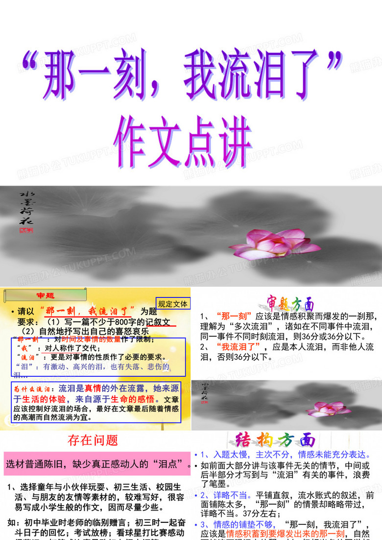 那一次我流泪了点评