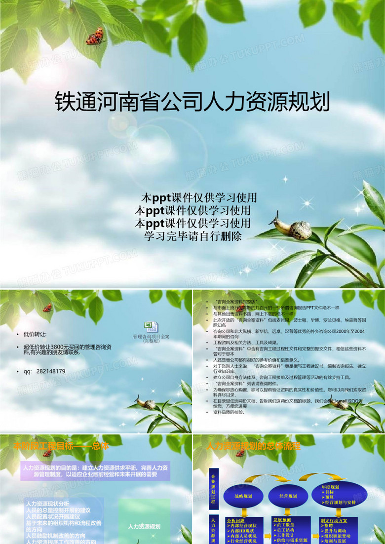 铁通河南省公司人力资源规划