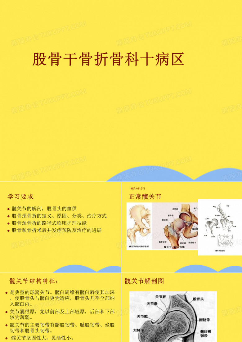 股骨干骨折骨科十病区(共87张PPT)