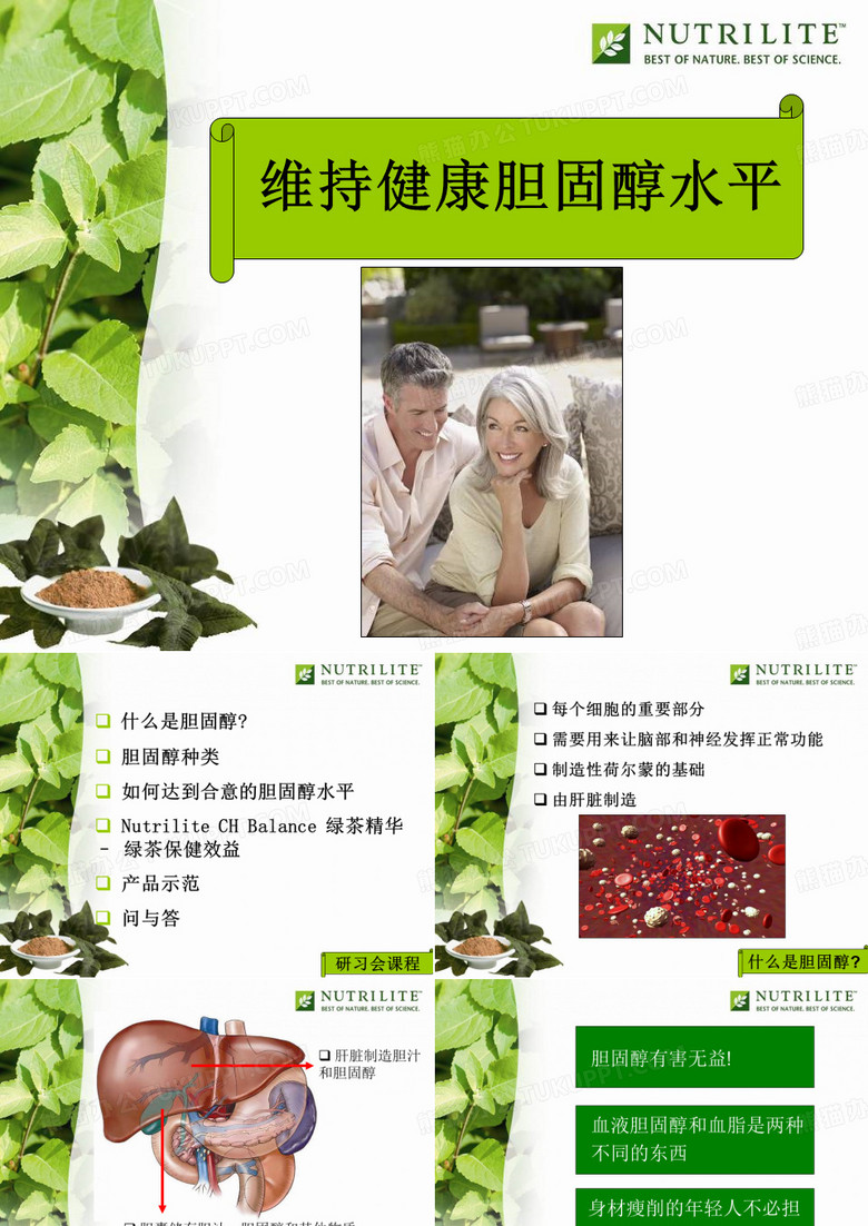 纽崔莱茶族