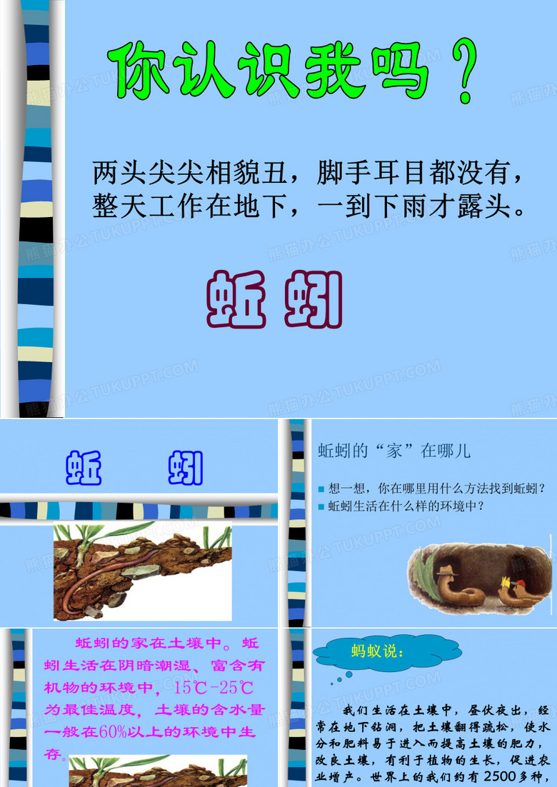 三年级上册科学蚯蚓课件
