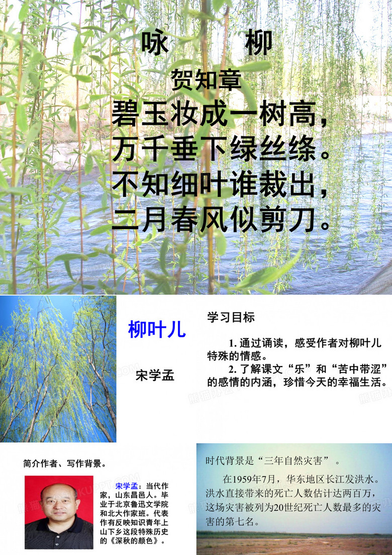 《柳叶儿》