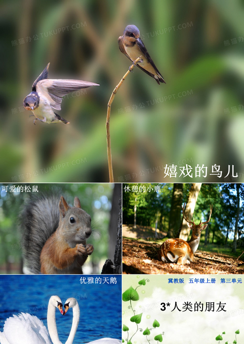 3--人类的朋友