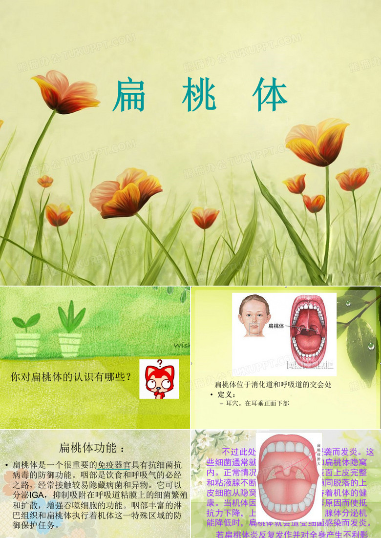 扁桃体