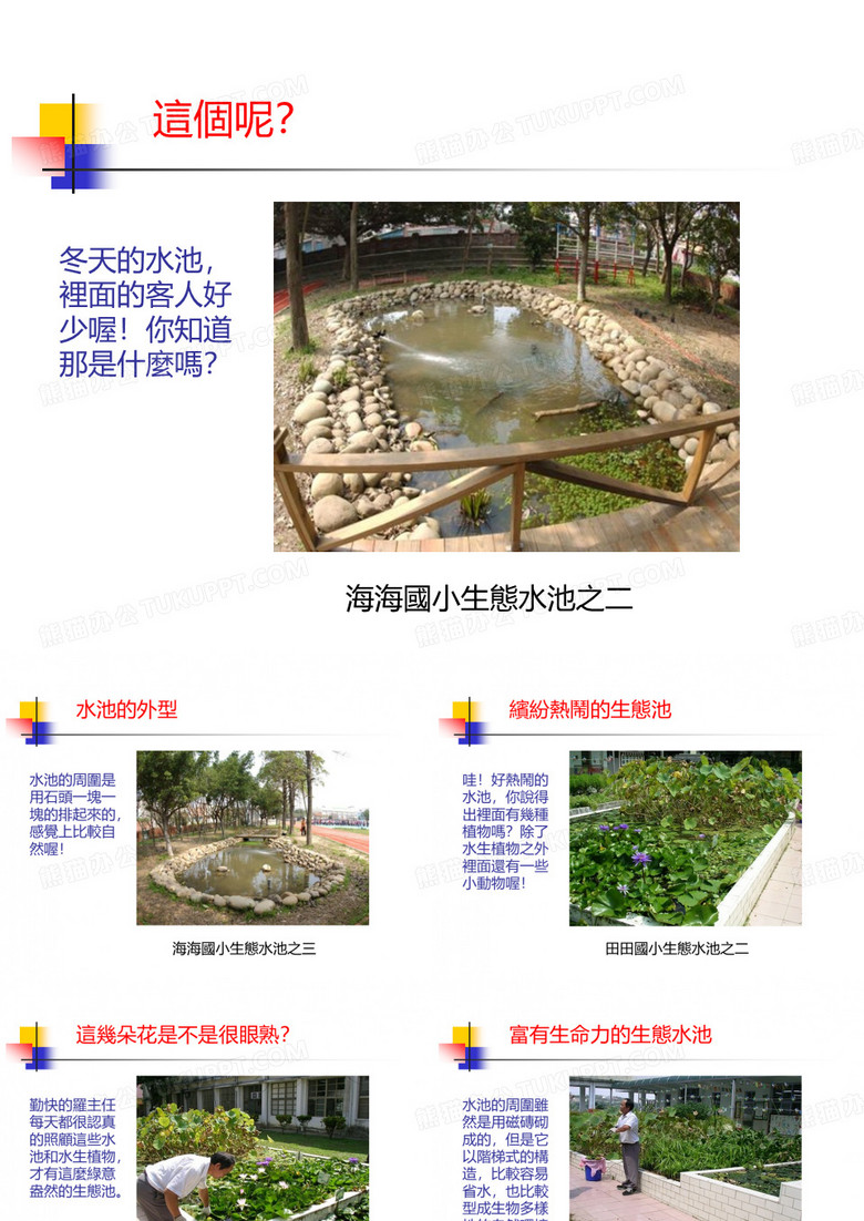 生态水池的比较