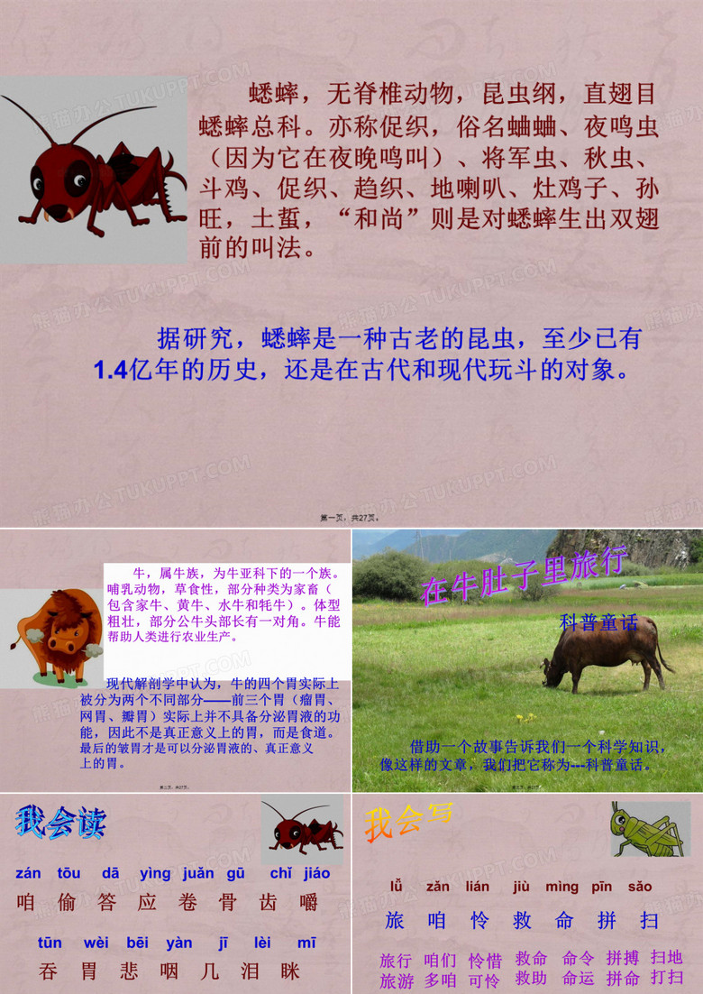 在牛肚子里旅行