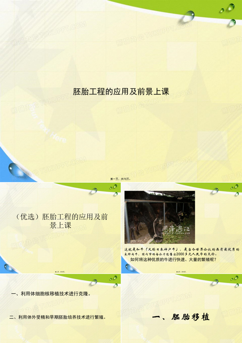 胚胎工程的应用及前景上课讲课文档