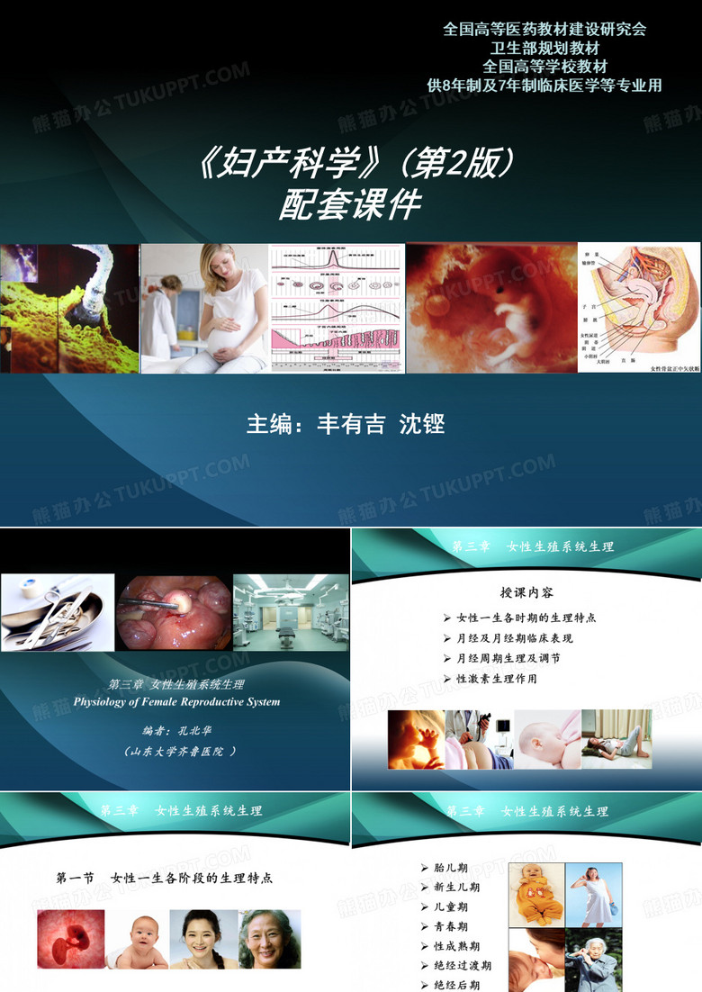 女性生殖系统生理