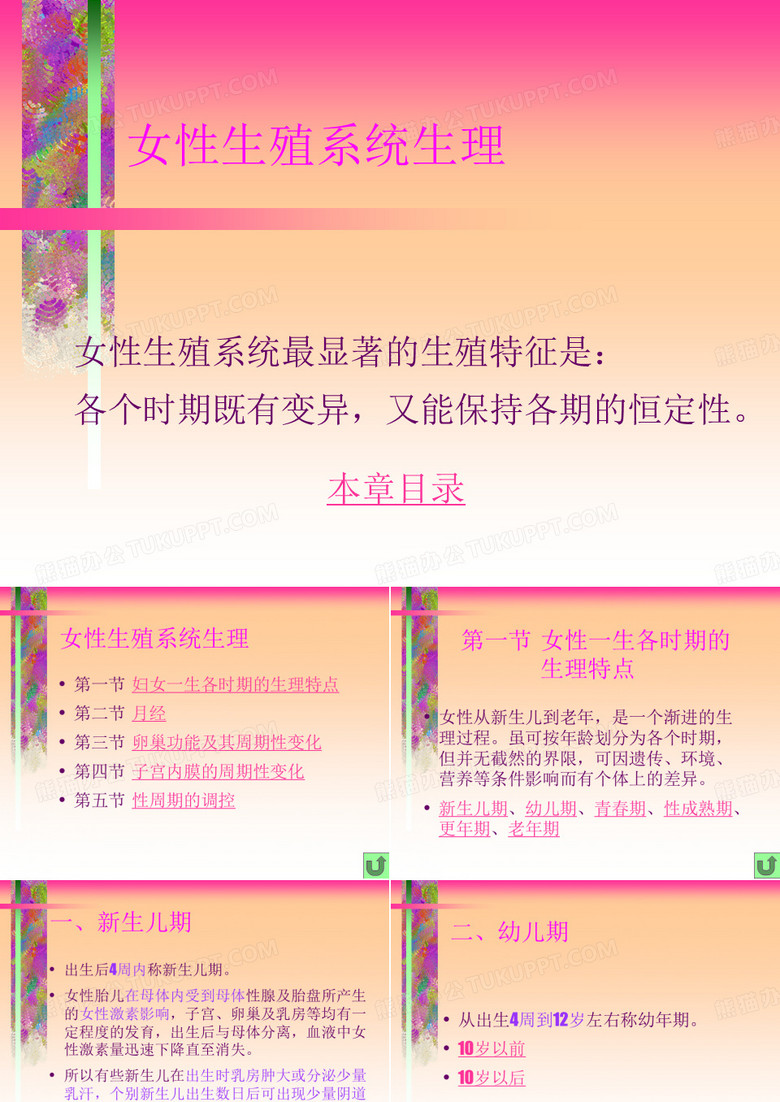-女性生殖系统生理