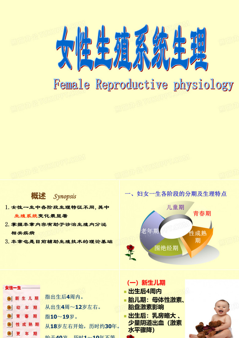 女性生殖系统生理