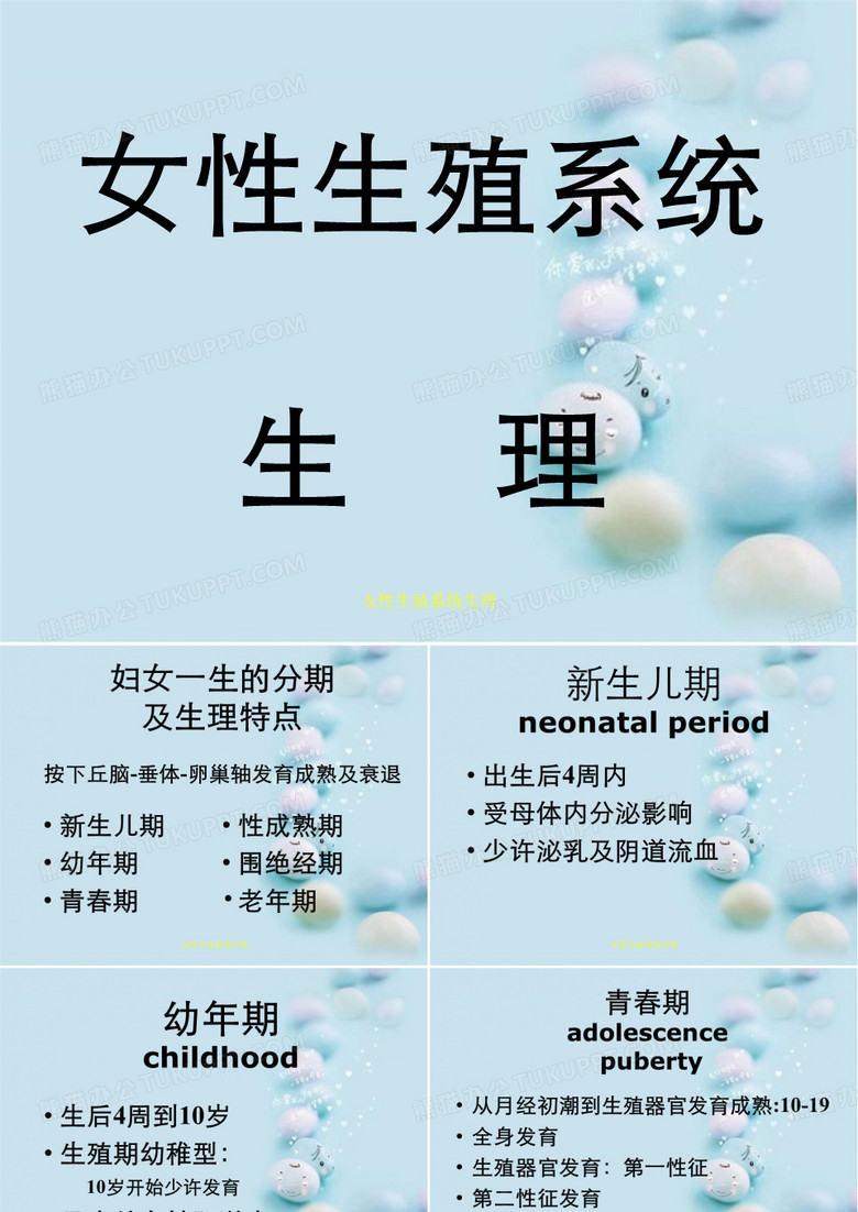 女性生殖系统生理