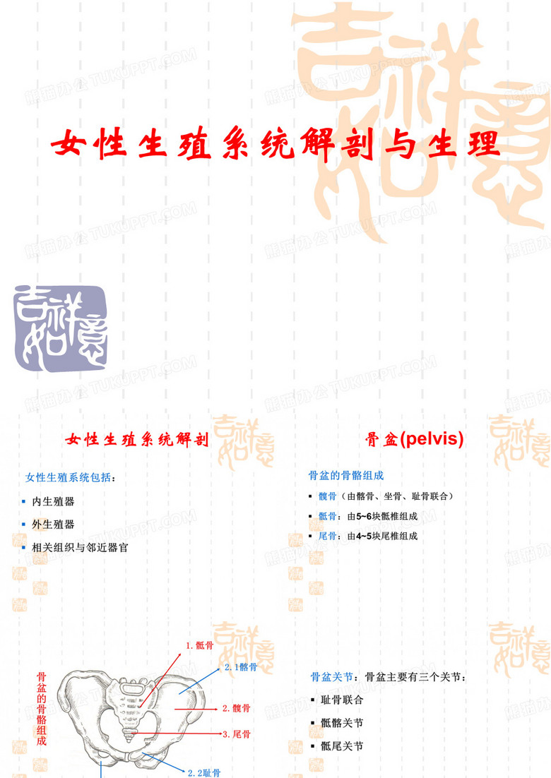 女性生殖系统解剖与生理