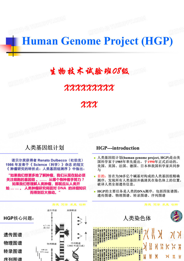 人类基因组计划