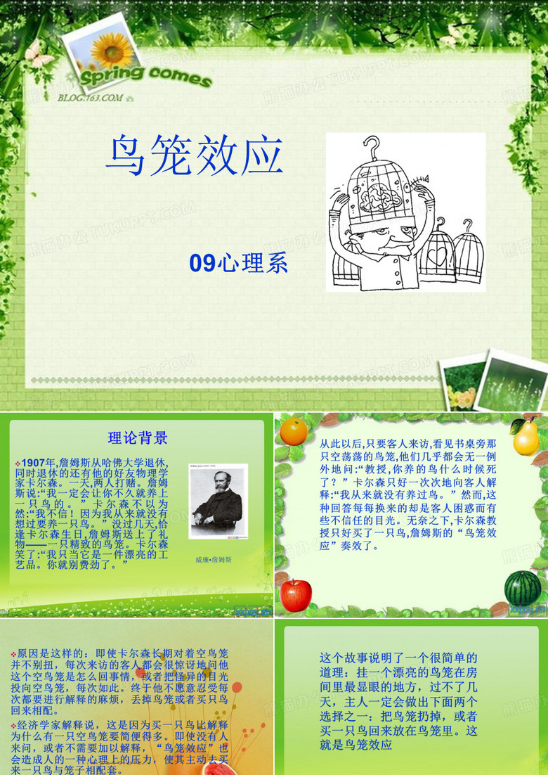 鸟笼效应