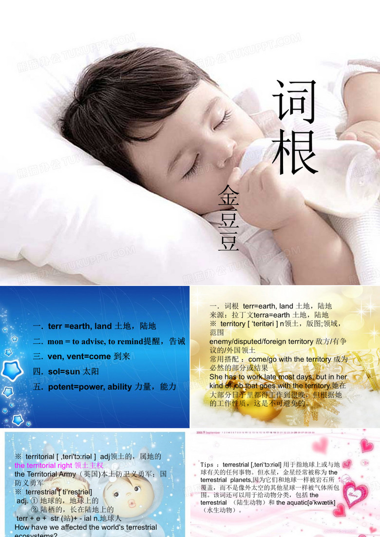 词根