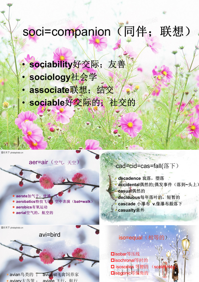 词根词缀