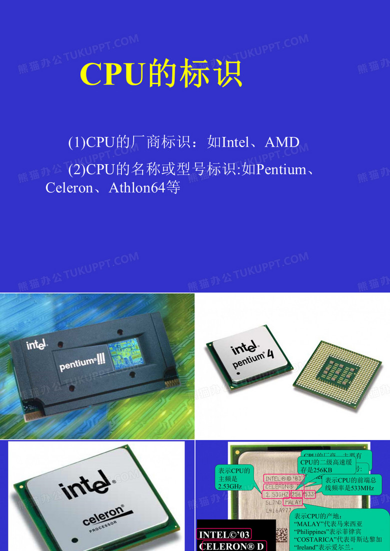 CPU标识