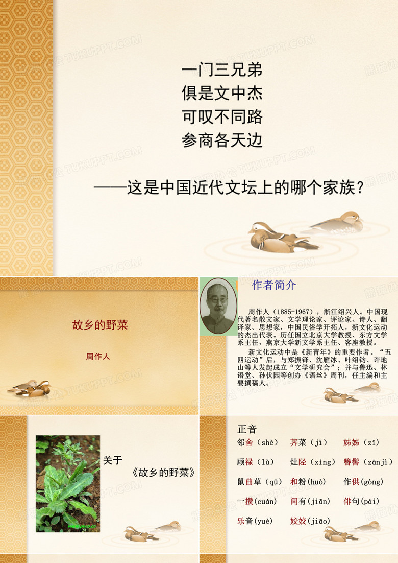 《故乡的野菜》