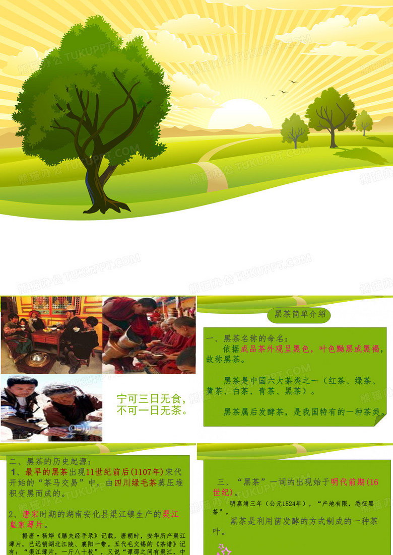 黑茶复习