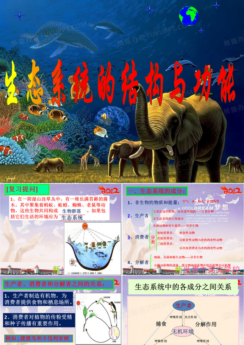 生态系统的结构和功能
