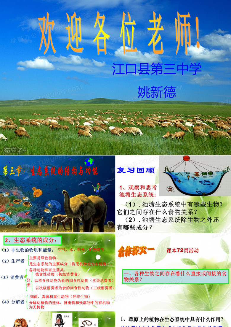 (教学版)生态系统的结构和功能